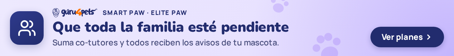 Membresías · Co-tutores (listado marketplace)