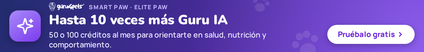 Membresías · Guru IA (listado marketplace)